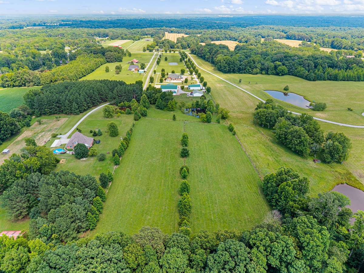 Back pasture
