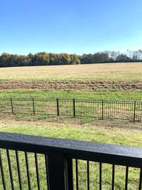 2nd View of Fenced Back Yard...