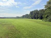 Left side of home yard