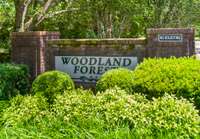 Woodland Forest is a small, tucked away, highly desired and well established  neighborhood on Nashville's West side.