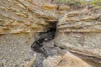 One of the many caves to explore on the property