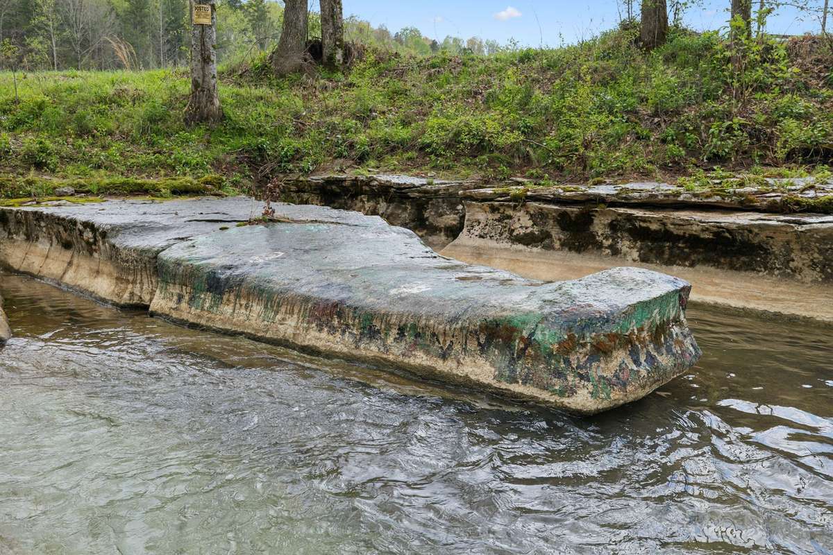 “Gator rock” in a great swimming stream