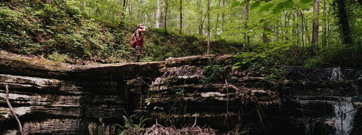 Scenic hiking on the property