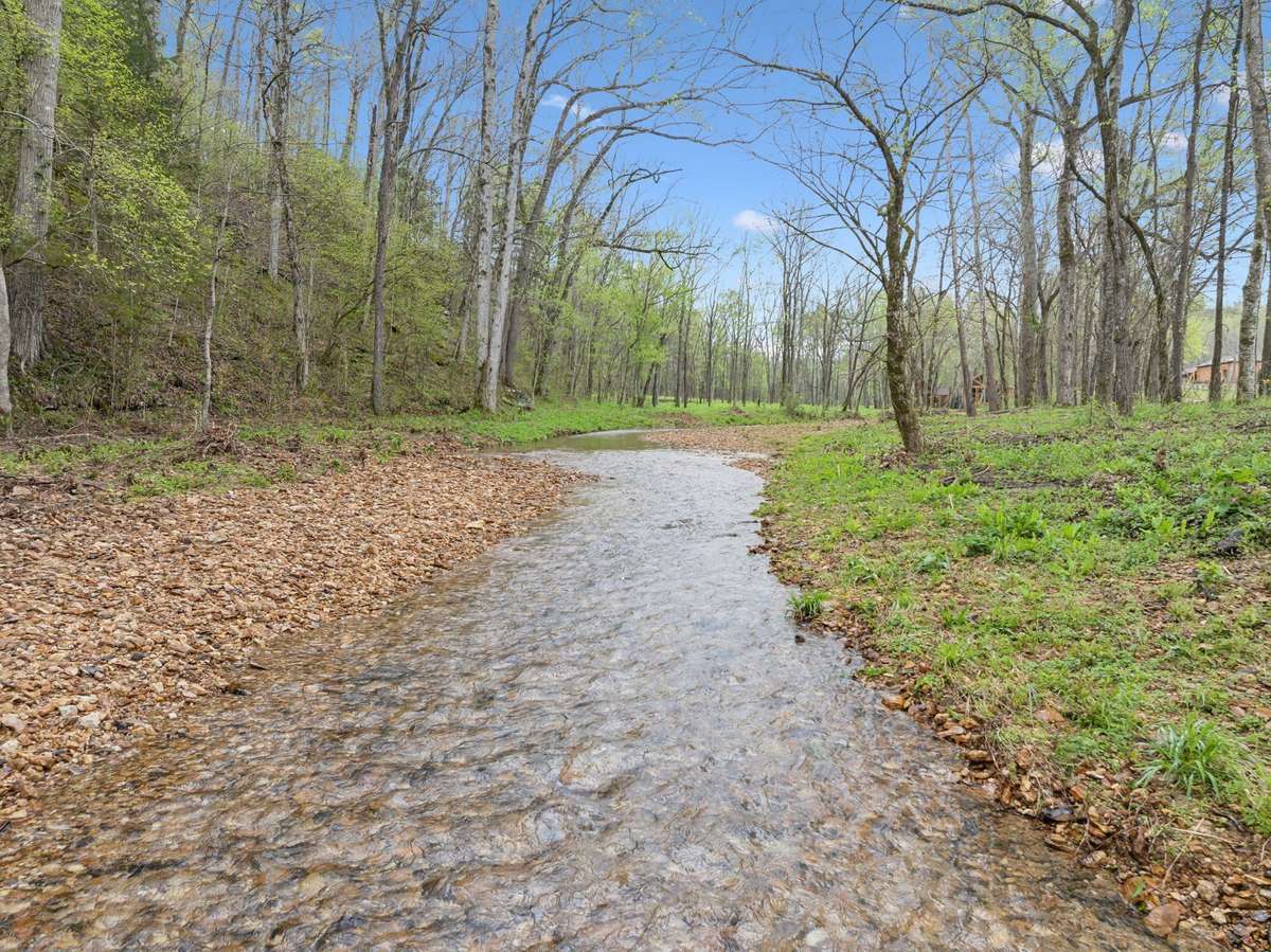 Year round spring fed creeks run through the property