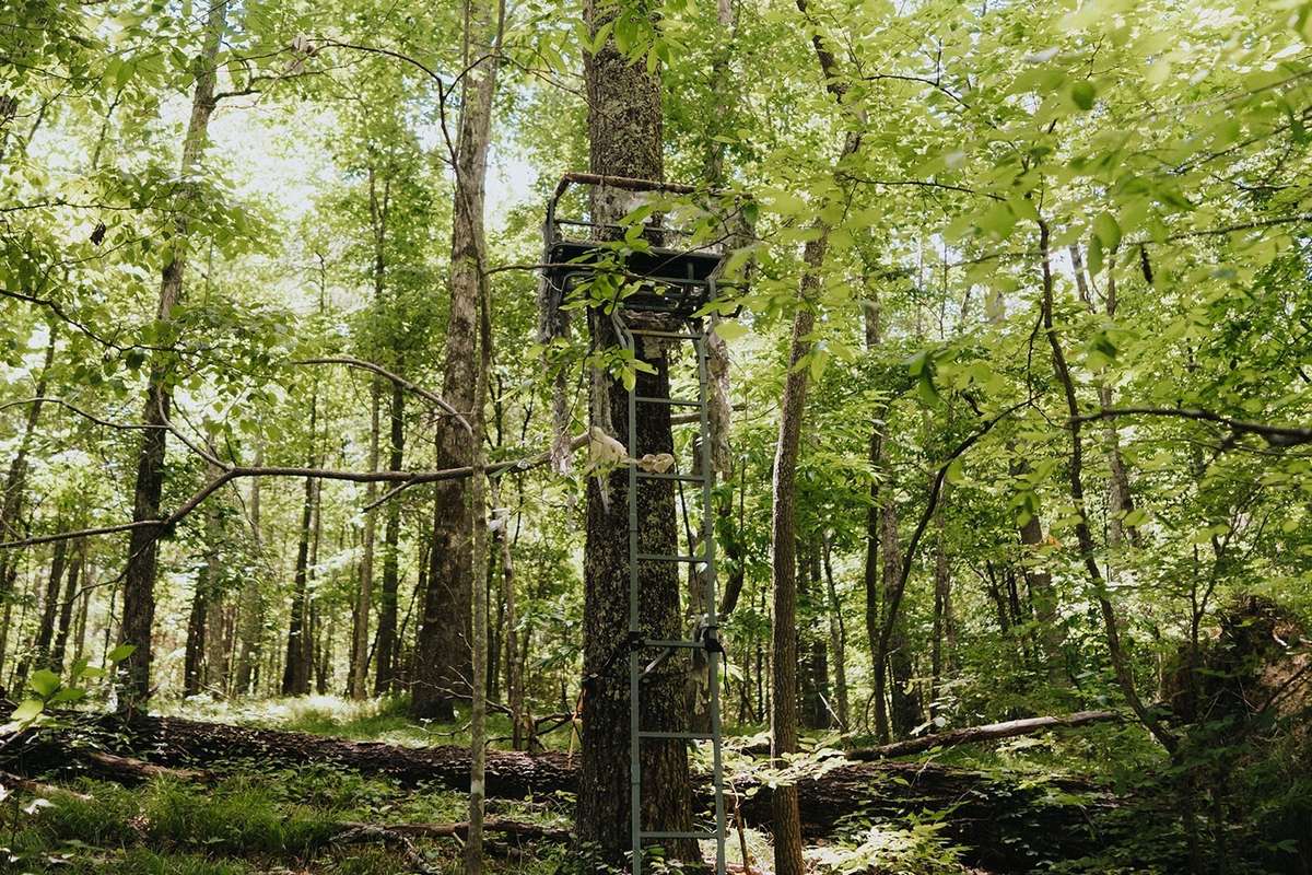 Tree stands, targets, and more through the property