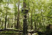Tree stands, targets, and more through the property