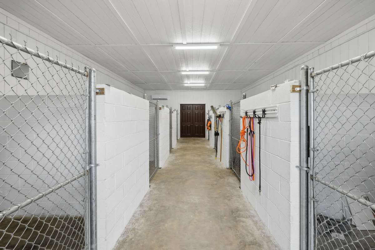 Interior of kennels