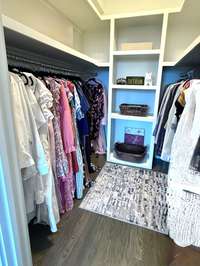 Bedroom 4 - Custom shelved walk-in closet.
