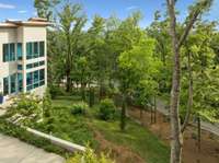 Stunning side yard with view of the private road leading up to the home.