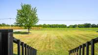From the covered front porch you look out toward the spacious front yard that stretches out to an open field. Perfect for enjoying quiet mornings or evenings, offering the kind of charm that makes the property feel both welcoming and serene.