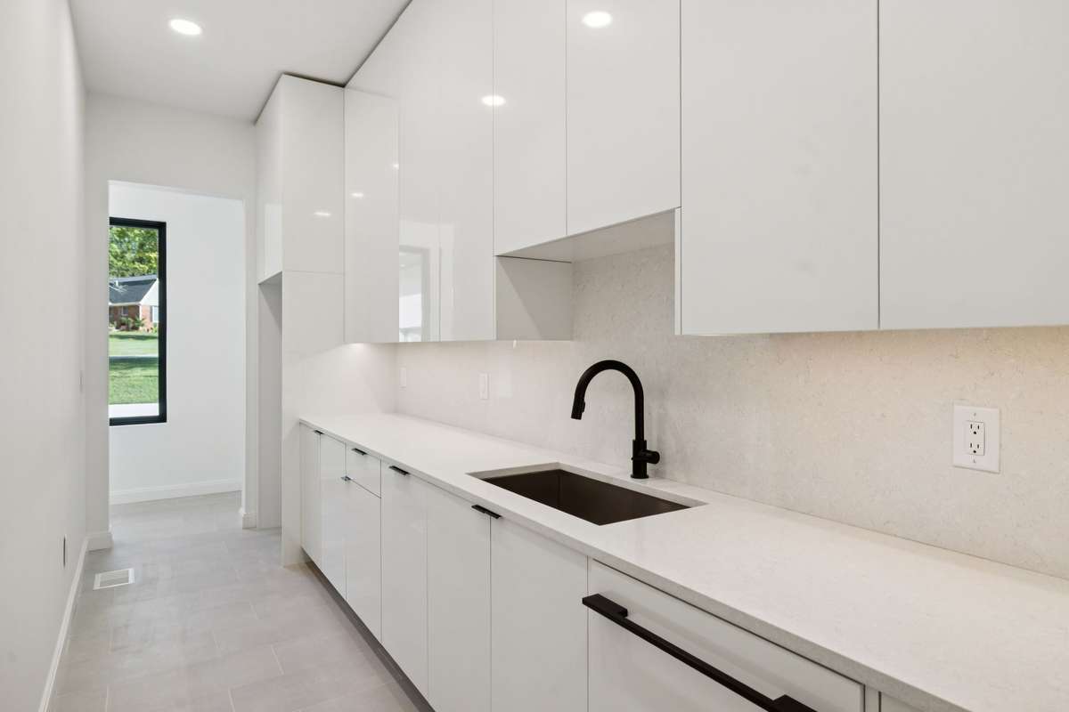 Working Pantry with quartz countertops, acrylic cabinets, sink and second dishwasher