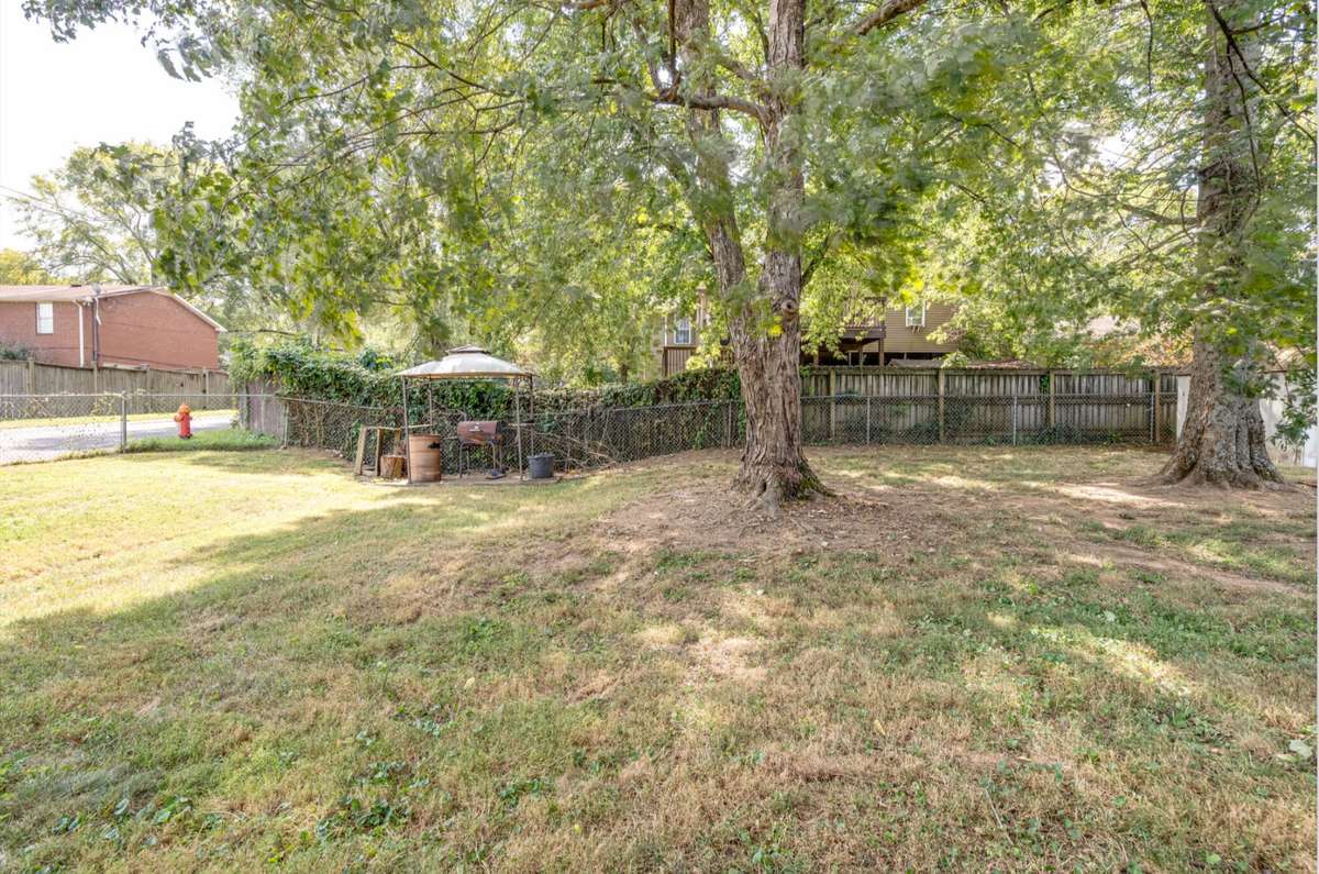 Fenced in backyard  that would be wonderful for a cute puppy!