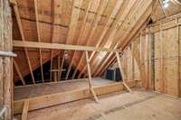 WOW!! Just look at all this walk-in attic storage space!! No more dreading going up the ladder to get what you need down from the attic!