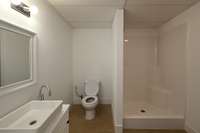 Basement Bathroom