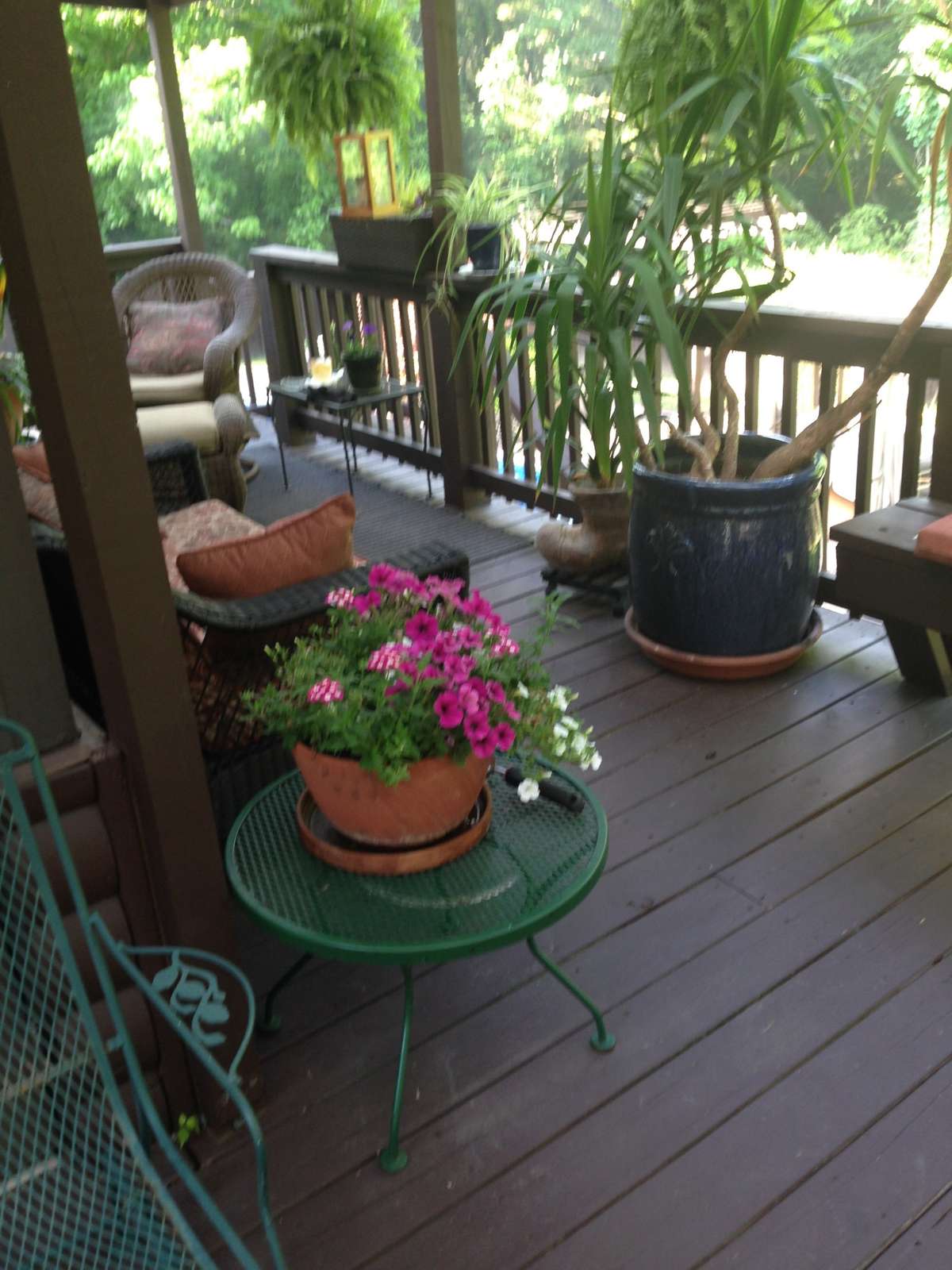 Prior photo of the back deck — plenty of space for flowers!