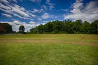 Large 4.6 acre mostly level yard