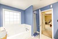 Primary bath upstairs with separate shower and tub. Lots of natural light.