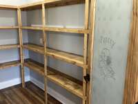 Pantry with built-in shelving and custom door