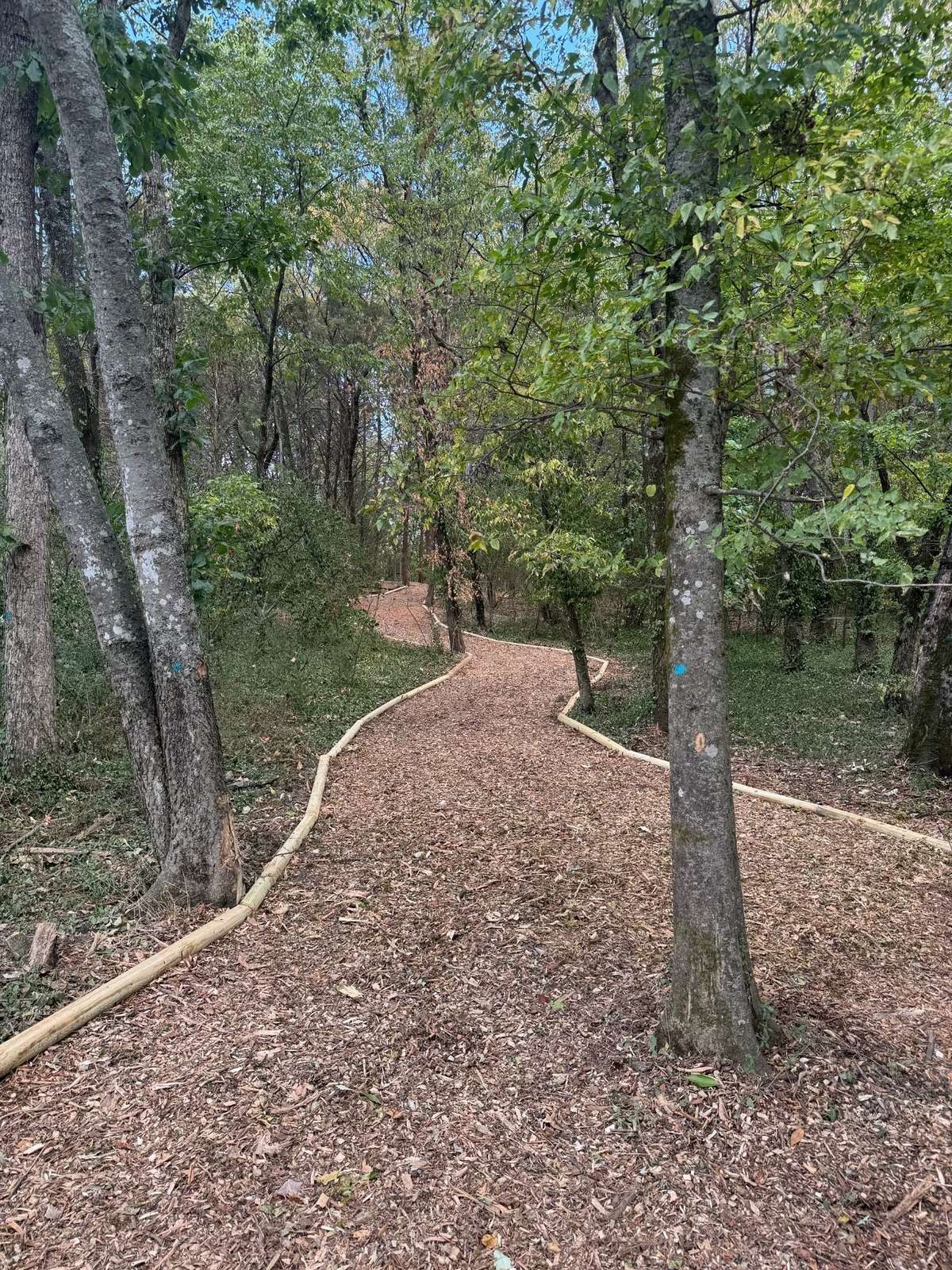 2 Acre Park with Walking Trails!