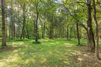 Feel Like Roaming A Bit... ?