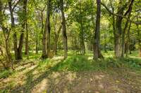 There's a Creek Back There...