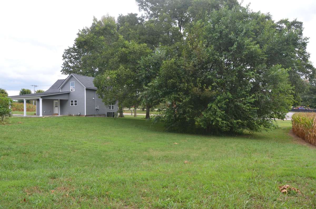 Back yard