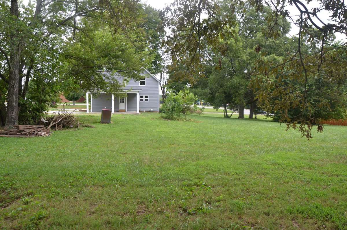 Back yard