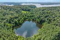 Lots of deer, turkey and geese.