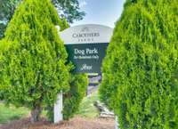 Walk to the dog park