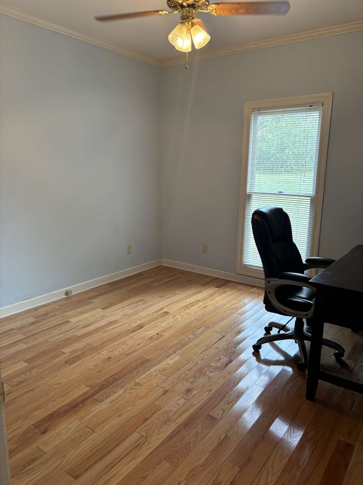Bedroom 3 is currently being used as a study.