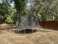 Trampoline Conveys