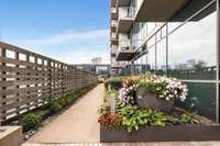 Walk way to the green roof uniquely separated from the bustling pool area tallowing for quiet retreat from summer pool fun