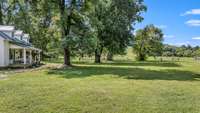 Large front yard with beautiful mature trees!
