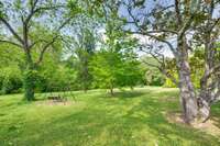 Backyard with a park like setting.