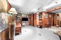 Additional view of the partially finished basement.