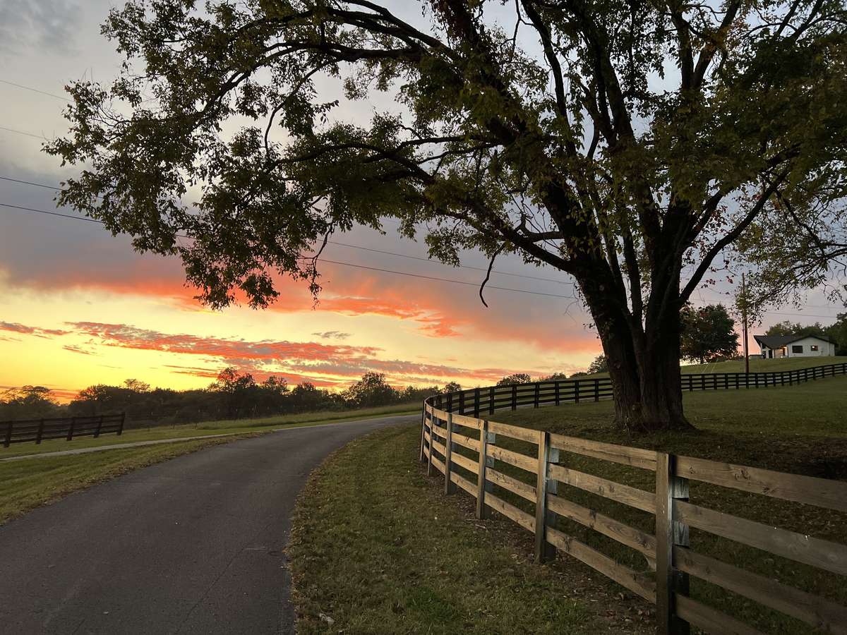 Sunset as you come up driveway towards the residence