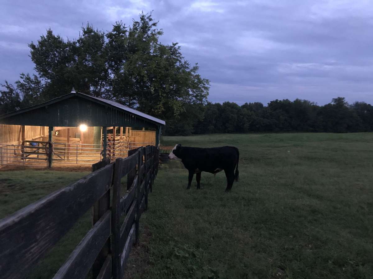 Dusk view of the barn with the nighttime sky setting in.