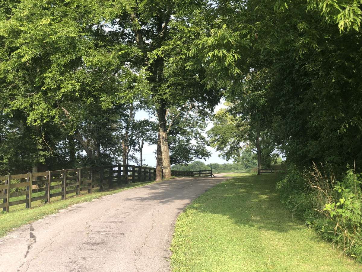 This property has the most scenic trees lining the driveway to your little slice of heaven.
