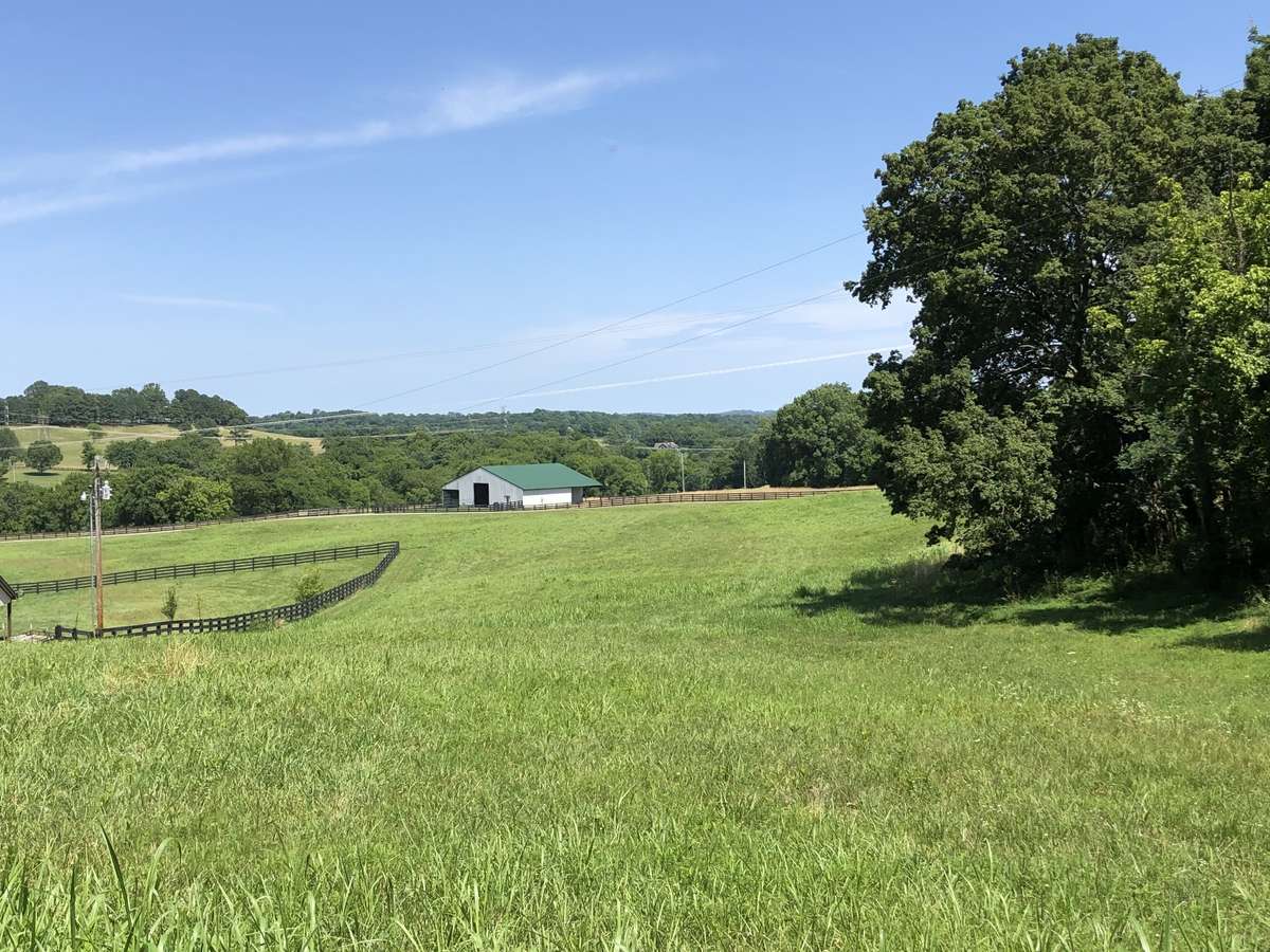 Front pasture looking towards the first barn and driveway. Currently cut and baled for hay.
