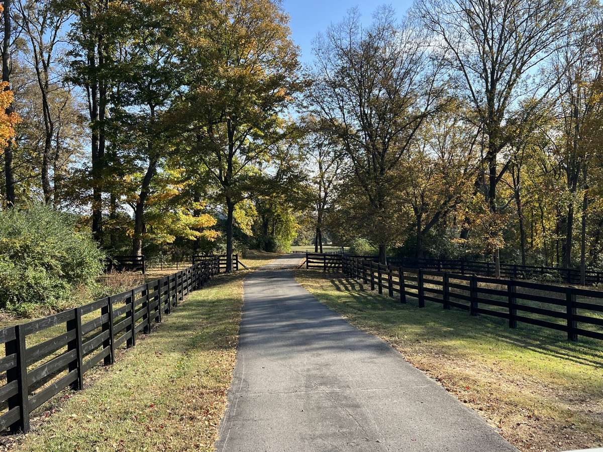 The fence has been pressure washed and freshly painted within the last year. Driveway from the street to the house is paved. View as you head back towards entrance.