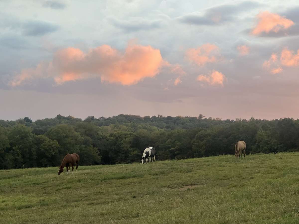 The sunsets are just a showstopper from this property!