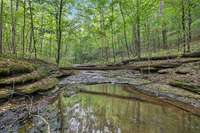 the sounds of nature