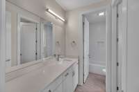 Lower level bathroom