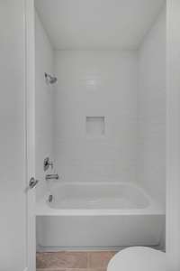 Lower level bathroom