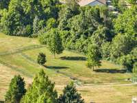 Bring your fur baby to the dog park and make some new friends!