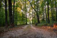 Driveway View Back to Road