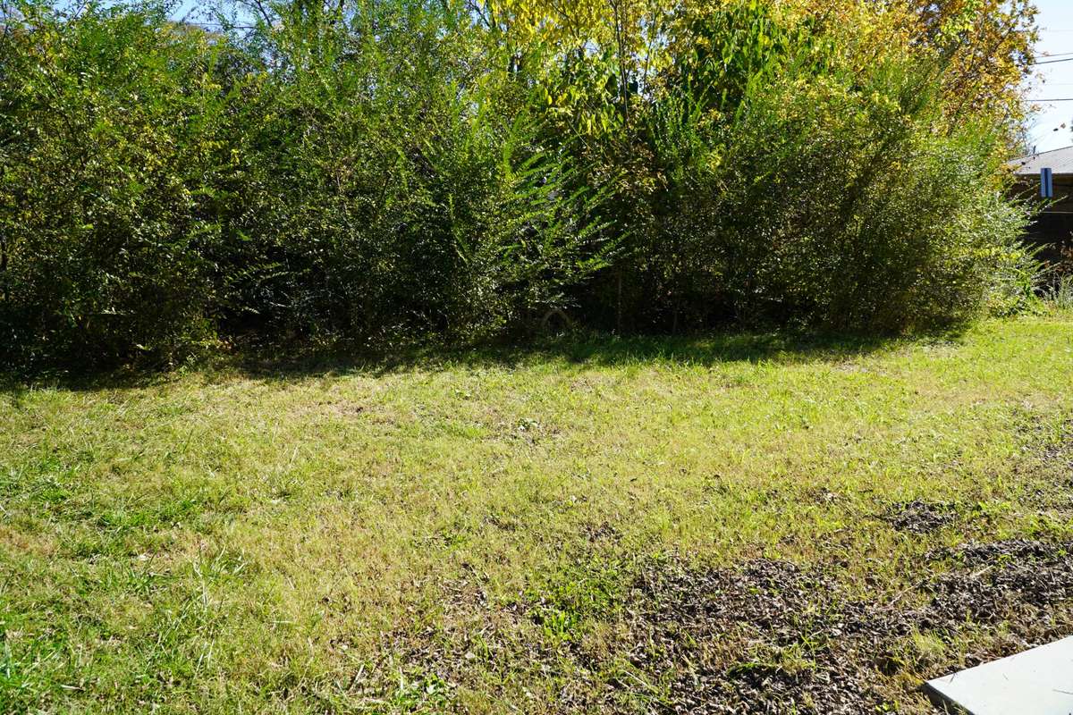Side yard