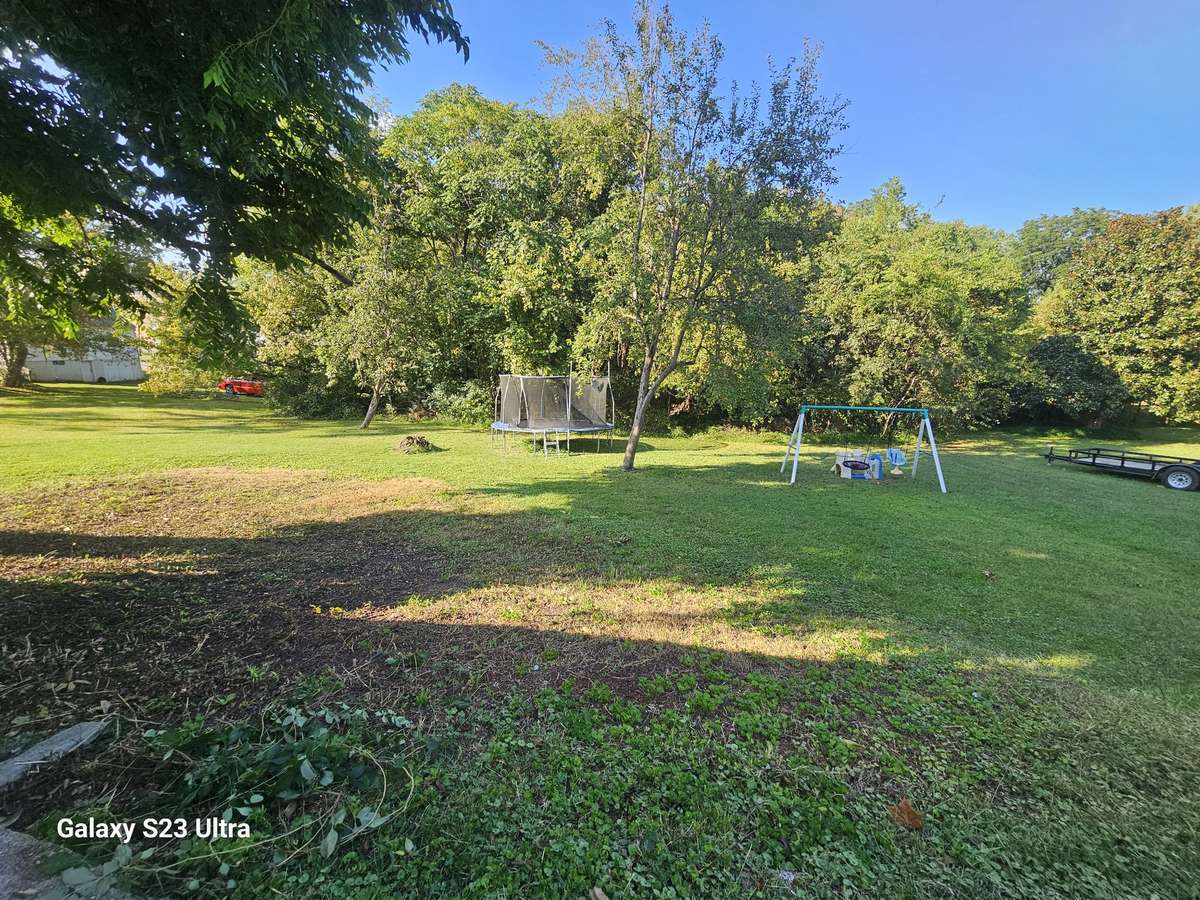 Large back yard with mature black walnut trees and mulberry bushes.