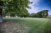 Large yard with some mature trees