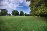 Large yard with some mature trees for shade